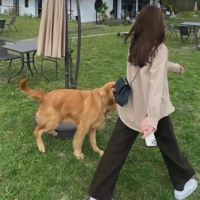 青春简单爱